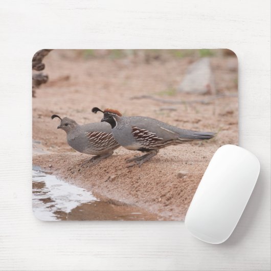 Gambel-Quail von Männern und Frauen Mousepad (Mit Mouse)