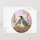 Gambel Quails Postkarte (Vorne/Hinten)