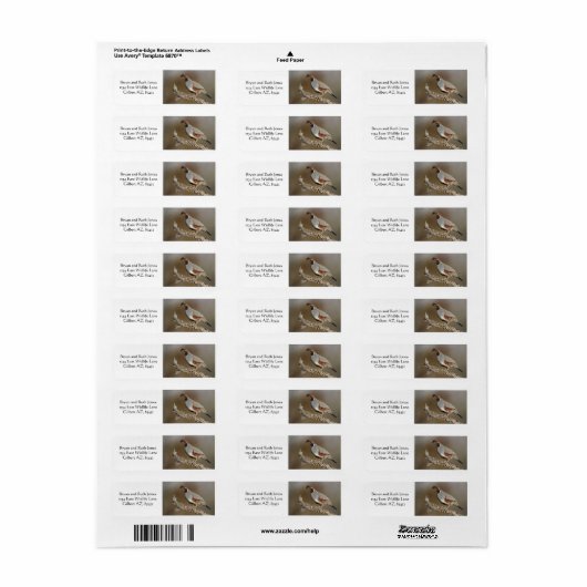 Gambels Quail (Vorne)