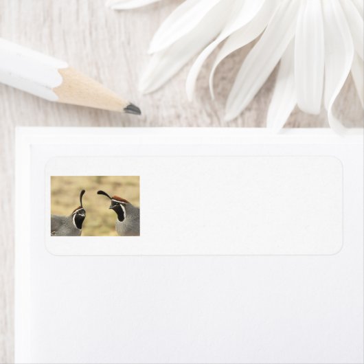 Gambel's Quail Address Labels (Insitu)
