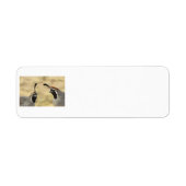 Gambel's Quail Address Labels (Vorne)