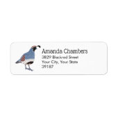 Gambel's Quail Bird Illustration (Vorne)