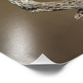 Gambels Quail Fotodruck (Ecke)