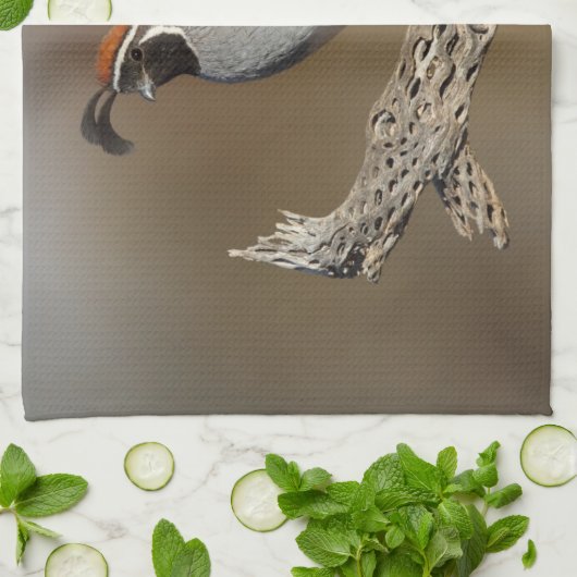 Gambels Quail Geschirrtuch (Gefaltet)