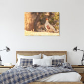 Gambels Quail Leinwanddruck (Insitu (Schlafzimmer))
