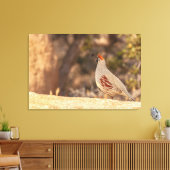 Gambels Quail Leinwanddruck (Insitu (Wohnzimmer))