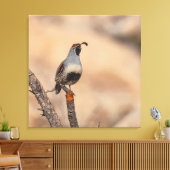 Gambels Quail Leinwanddruck (Insitu (Wohnzimmer))
