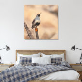 Gambels Quail Leinwanddruck (Insitu (Schlafzimmer))