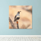 Gambels Quail Leinwanddruck (Insitu (Holzboden))