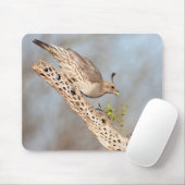 Gambels Quail Mousepad (Mit Mouse)