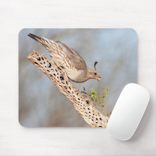 Gambels Quail Mousepad (Mit Mouse)