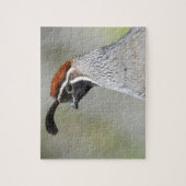 Gambels Quail-Puzzle Puzzle (Vertikal)