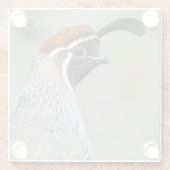 Gambels Quail-Untersetzer Glasuntersetzer (Rückseite)