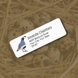 Gambels Wachtel Vogelillustration