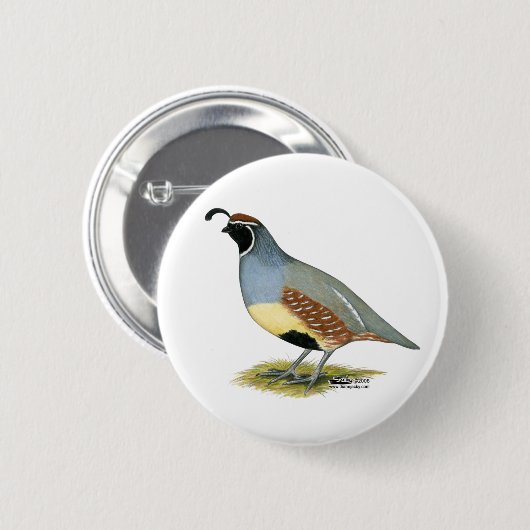 Gambels Wüsten-Wachteln Button (Vorne & Hinten)