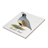 Gambels Wüsten-Wachteln Fliese (Seite)