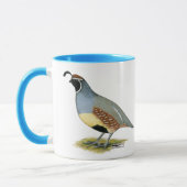 Gambels Wüsten-Wachteln Tasse (Links)