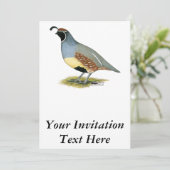 Gambels Wüstenquail Einladung (Stehend Vorderseite)