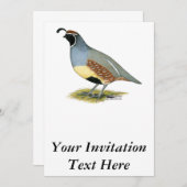 Gambels Wüstenquail Einladung (Vorne/Hinten)