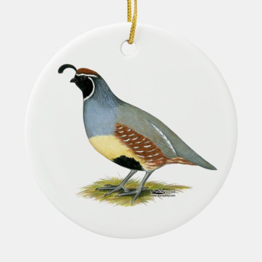 Gambels Wüstenquail Keramikornament (Vorne)