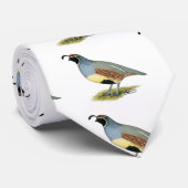 Gambels Wüstenquail Krawatte (Gerollt)