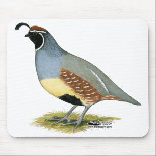 Gambels Wüstenquail Mousepad