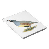 Gambels Wüstenquail Notizblock (angewinkelt)