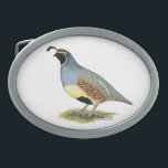 Gambels Wüstenquail Ovale Gürtelschnalle<br><div class="desc">Gambels Wüstenquail ähnelt ihrem Cousin,  der California Quail,  aber es fehlt ihnen an den Schuppenfedern auf ihrem Bauch.</div>