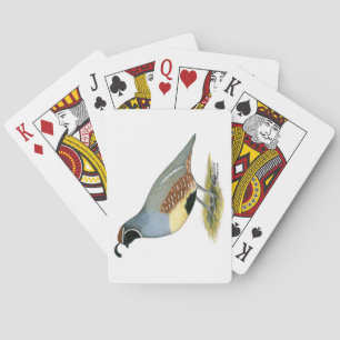 Gambels Wüstenquail Spielkarten