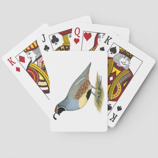 Gambels Wüstenquail Spielkarten (Rückseite)