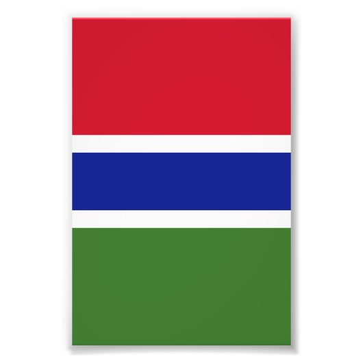 Gambia-Flagge Fotodruck (Vorne)