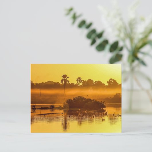 Gambia Sunrise Postcard Postkarte (Stehend Vorderseite)