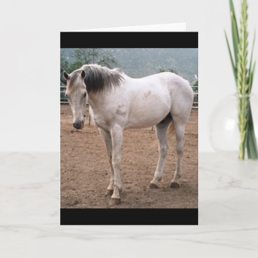 Gamblers Way Karte (Vorderseite)