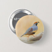 Gambrel's Quail Painting Original Bird Art Button (Vorne & Hinten)