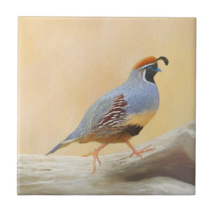 Gambrel's Quail Painting Original Bird Art Fliese