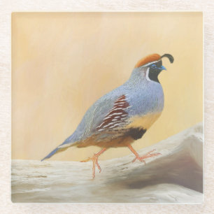Gambrel's Quail Painting Original Bird Art Glasuntersetzer