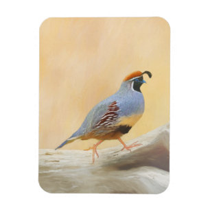 Gambrel's Quail Painting Original Bird Art Magnet