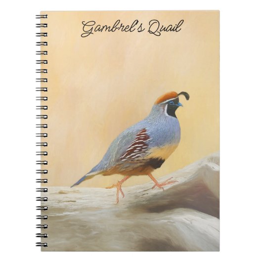 Gambrel's Quail Painting Original Bird Art Notizblock (Vorderseite)