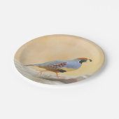 Gambrel's Quail Painting Original Bird Art Pappteller (Schrägansicht)