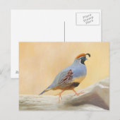 Gambrel's Quail Painting Original Bird Art Postkarte (Vorne/Hinten)