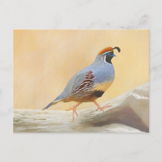 Gambrel's Quail Painting Original Bird Art Postkarte (Vorderseite)