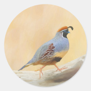 Gambrel's Quail Painting Original Bird Art Runder Aufkleber