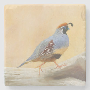 Gambrel's Quail Painting Original Bird Art Steinuntersetzer