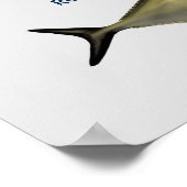 Game-Fische des Poster des tropischen Atlantiks (Ecke)