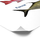 Game Fish of the Tropical Atlantic Foto print (Ecke)