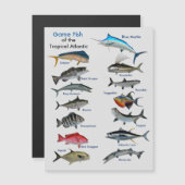 Game Fish of the Tropical Atlantic Magnetic Card Magnetkarte (Vorne/Hinten)