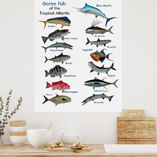 Game Fish of the Tropical Atlantic poster (Küche)