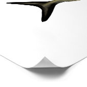 Game Fish of the Tropical Atlantic poster (Ecke)