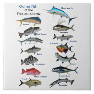 Game Fish of the Tropical Atlantic Poster Fliese