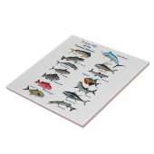 Game Fish of the Tropical Atlantic Poster Fliese (Seite)